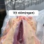 Vịt xiêm (ngan) sống, nuôi thiên nhiên giá tốt